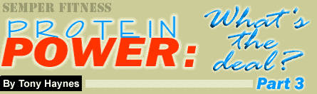 Protein Power: What's the Deal? Part II, by Tony Haynes