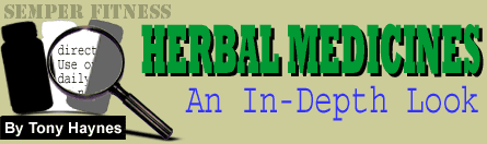 Herbal Medicinces: An In-Depth Look