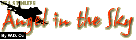 Angel in the Sky by W.D. Oz