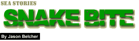 Snake Bite: by Jason Belcher