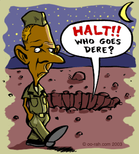 Marines can't believe their good fortune